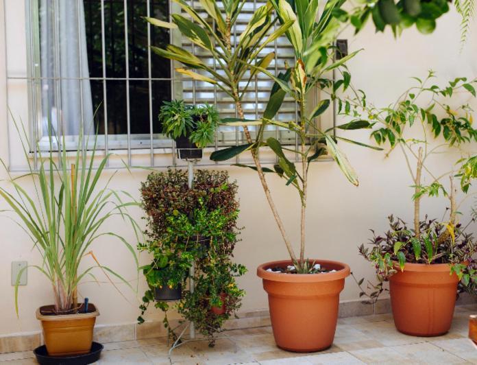 Apartamento Congonhas Campo Belo São Paulo